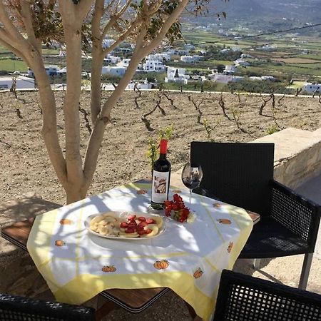 Grape Yard Apartment パロス島 エクステリア 写真