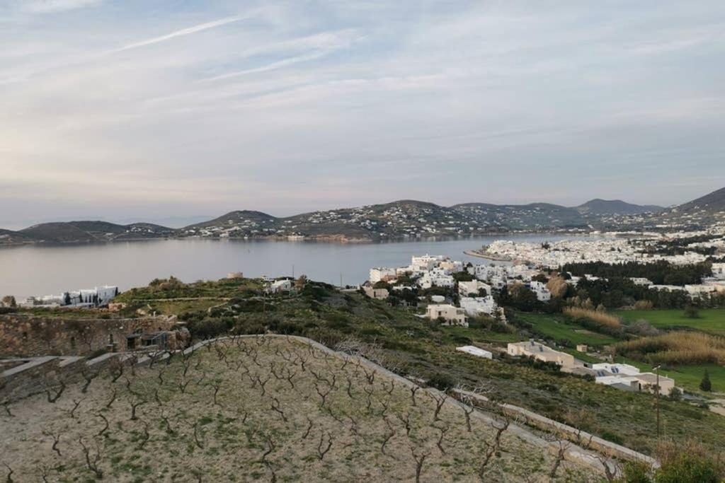 Grape Yard Apartment パロス島 エクステリア 写真